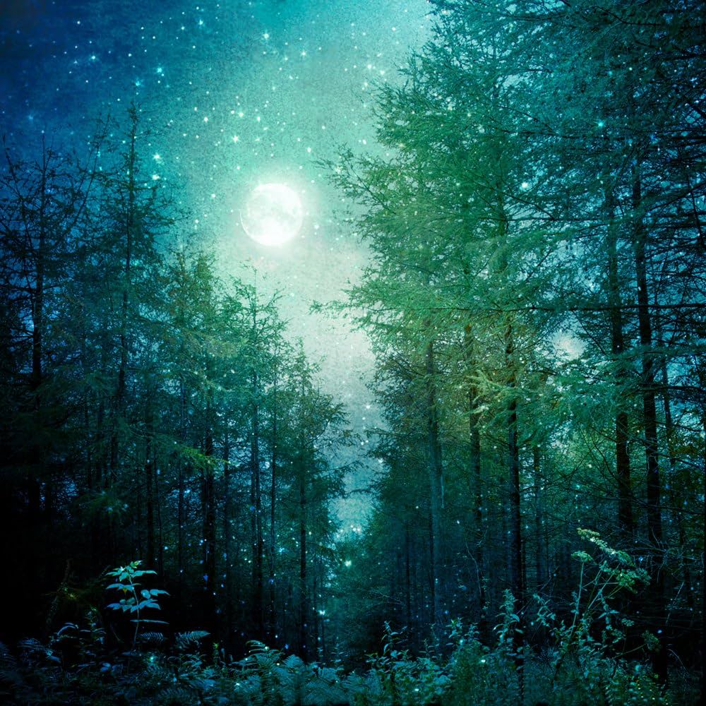 芸術写真 Nature Photograph Full Moon Art Print Antique Moon Photograph Art Print, Vintage Lunar Photography
